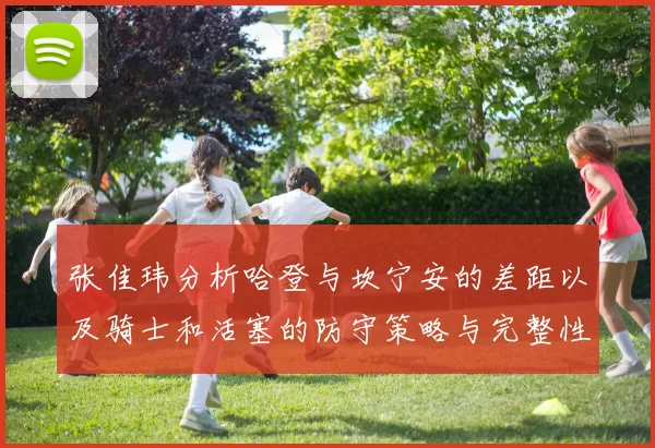 张佳玮分析哈登与坎宁安的差距以及骑士和活塞的防守策略与完整性