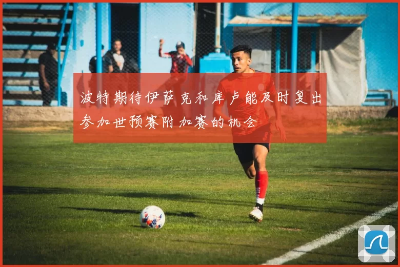 波特期待伊萨克和库卢能及时复出参加世预赛附加赛的机会